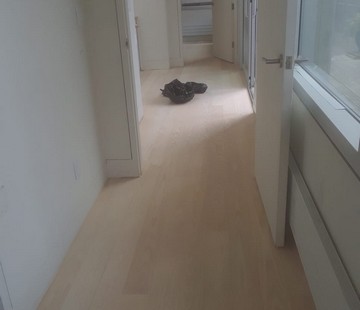 Portfolio | Oscar Floors Inc.